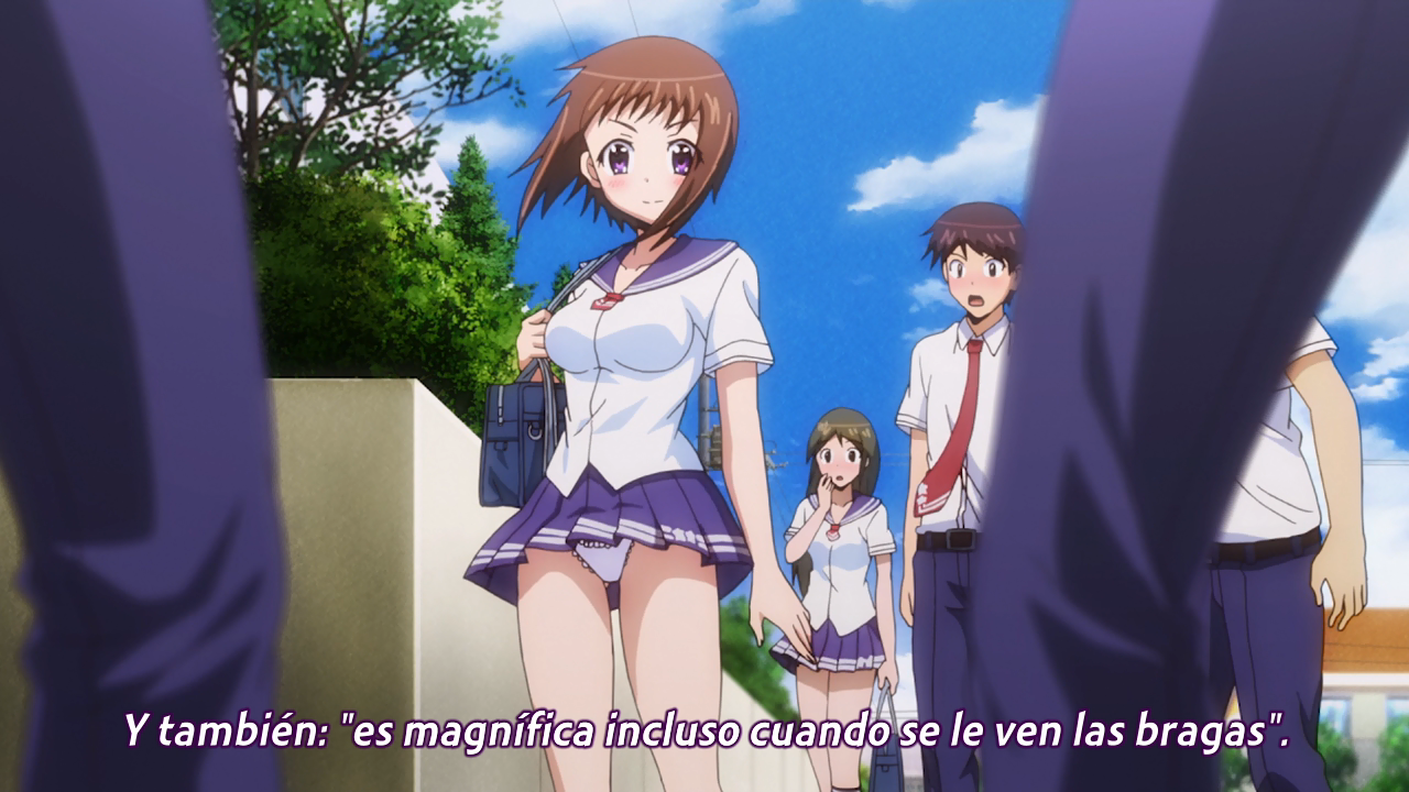 Okusama ga Seitokaichou!+! (Hoshizora)